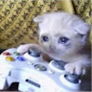 Meet your Posher, Josuha